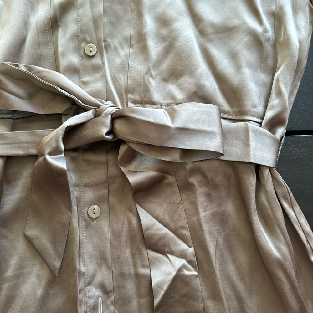 Abercrombie & Fitch Long-Sleeve Belted Shirt Dress (Petite Small)